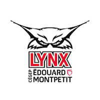 Les Lynx
